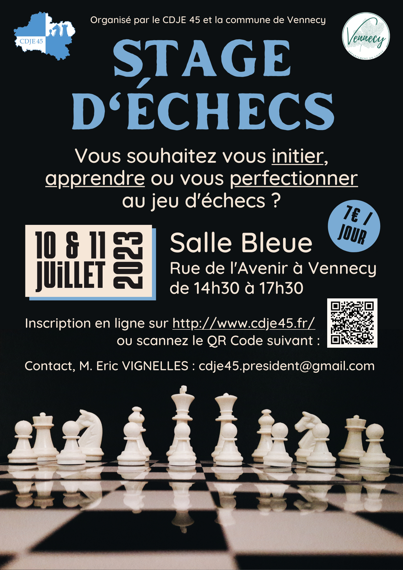Affiche - Stage d'échecs