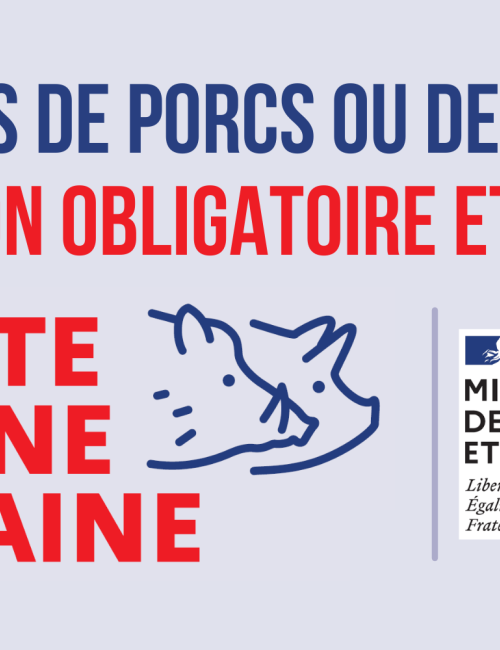 Déclaration détenteurs de porcs