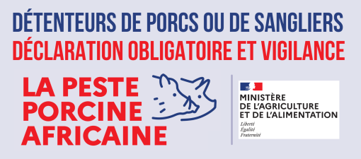 Déclaration détenteurs de porcs