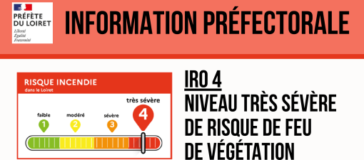 IRO 4
