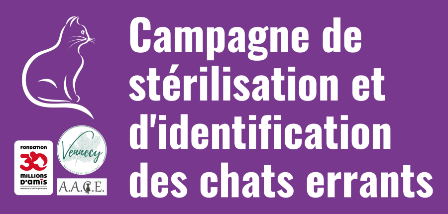 Campagne de stérilisation et d'identification des chats errants