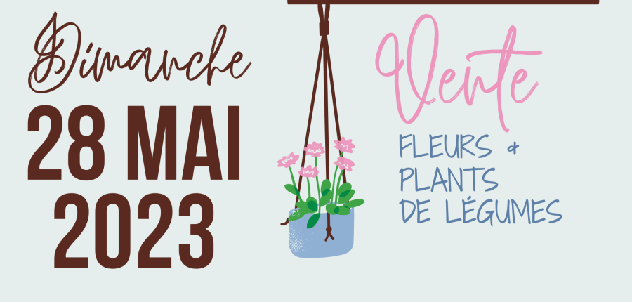 Vignette vente fleurs et plants de légumes