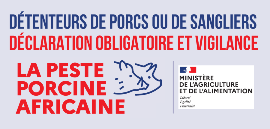 Déclaration détenteurs de porcs