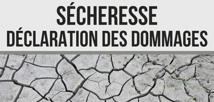 Sécheresse : déclaration des dommages