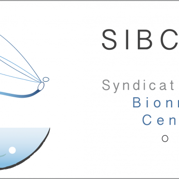logo-sibcca-h.png